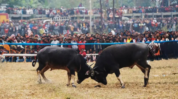 Games, Sports & Folk Activities of Bhugali Bihu