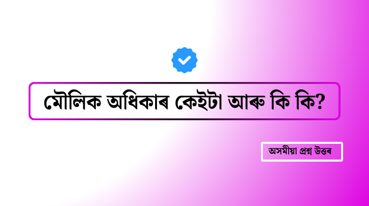 মৌলিক অধিকাৰ কেইটা আৰু কি কি?